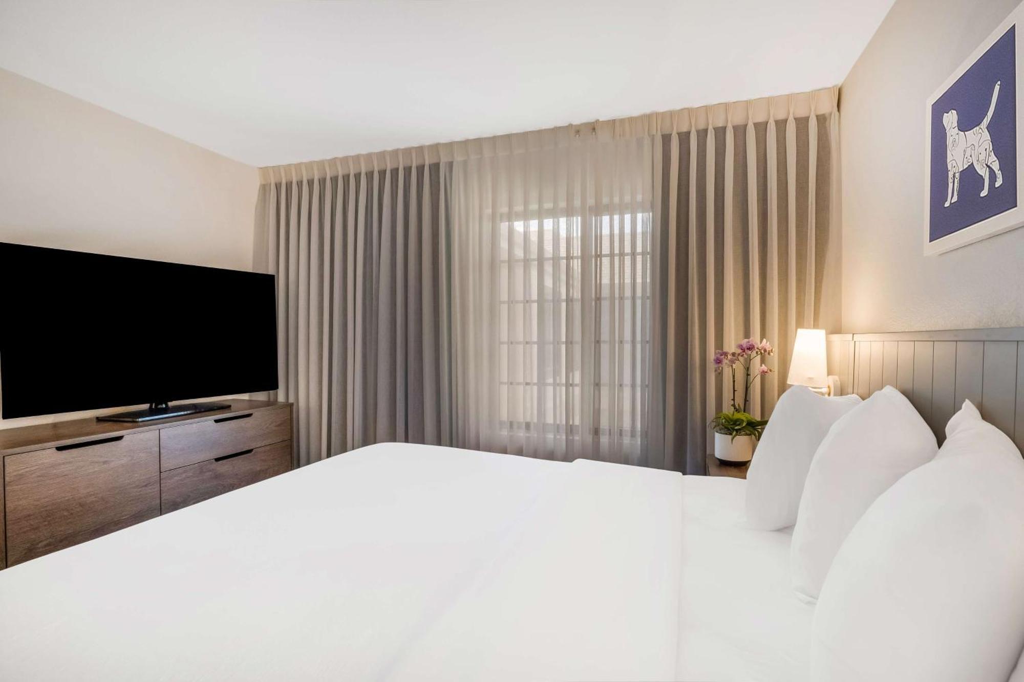 Sonesta Es Suites San Jose - Airport Eksteriør bilde
